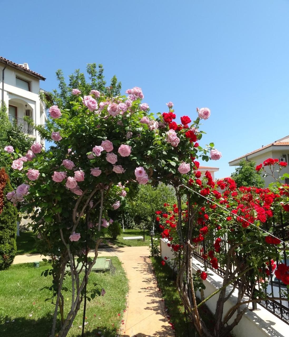 Triumph Holiday Village Sveti Vlas Bagian luar foto